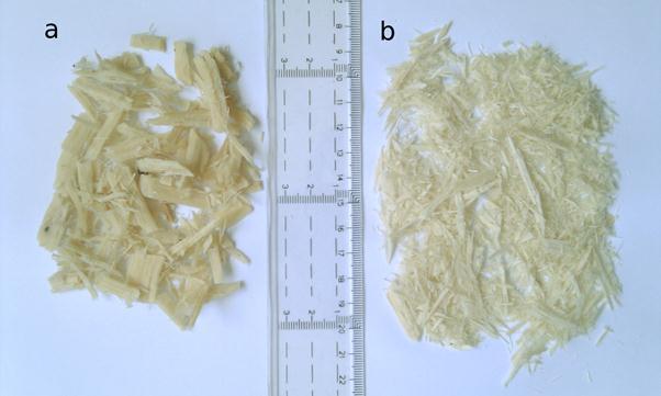 In this treatment chips are pre-steamed and thereafter compressed and sheared through the Impressafiner. The treated chips were delivered to INNVENTIA and frozen for storage.