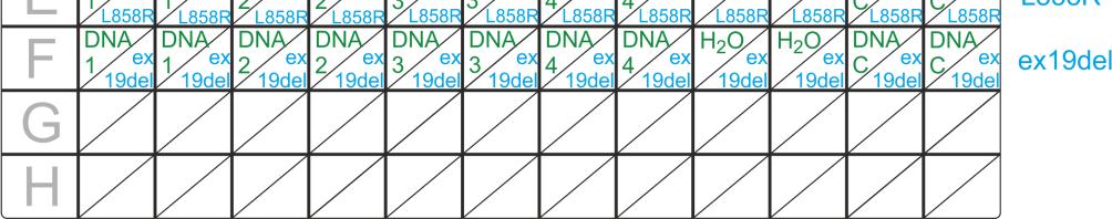 Unknown DNA samples 1-4 are added to wells in columns 1-8; Positive DNA control (DNA C) is added to wells in columns 11 and 12;