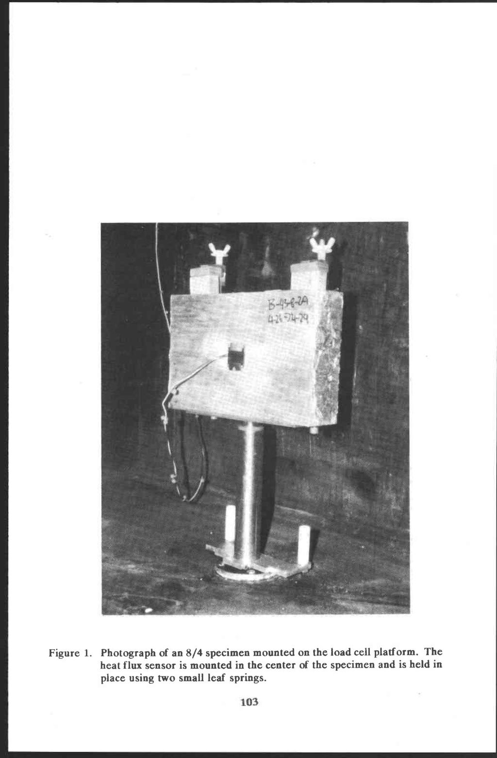 Figure 1. Photograph of an 8/4 specimen mounted on the load cell platform.