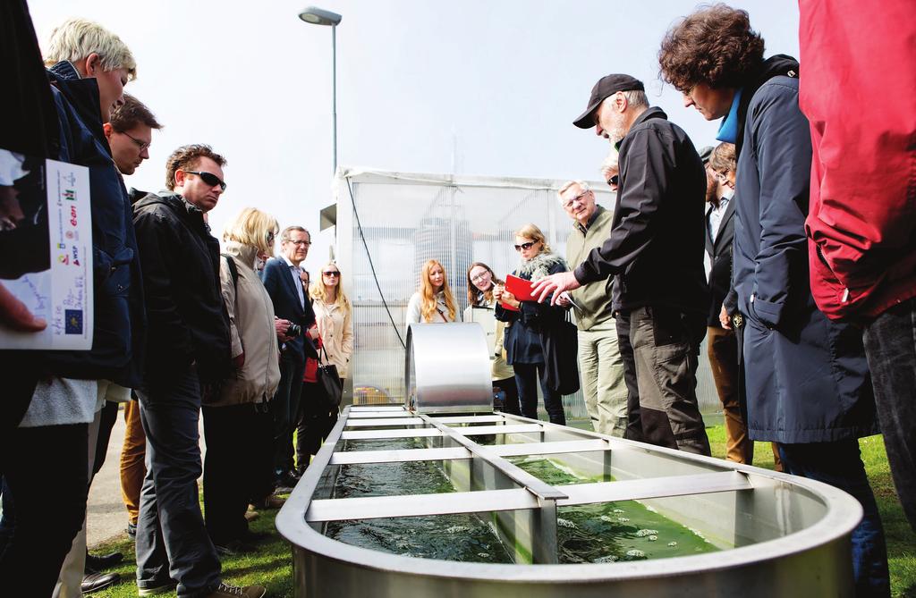 Microalgae cleaning sewage water, all it needs is sunlight and carbon dioxide from the air.