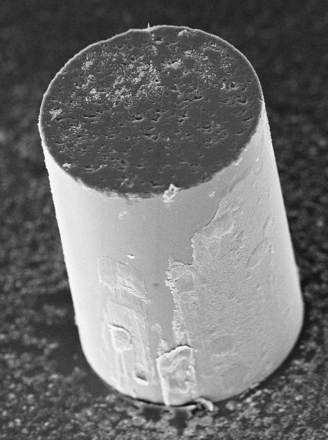 Figure 7 An aluminium coated fibre viewed from the rear side of the sample (sample thickness; 1.