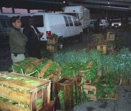 The Concept A new NYC Wholesale Farmers Market would be a place that