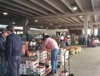 10 acre wholesale farmers market includes covered space under