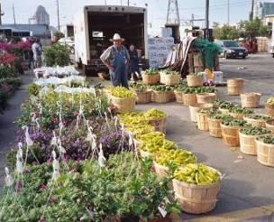 farmers Market attracts buyers from throughout southern
