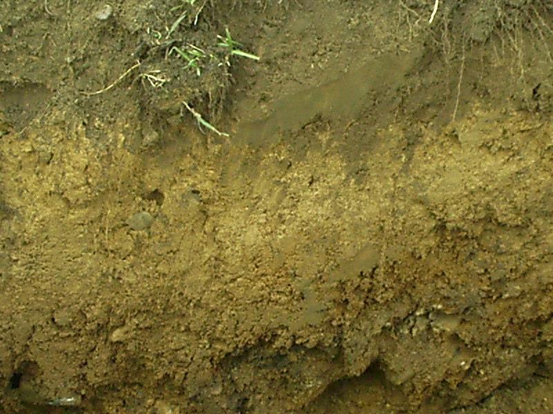 Soil Based