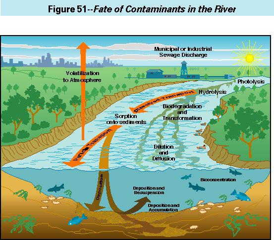 Background - Contaminated Micropollutants Drinking Water Sources Pesticides, fertilizers, industrial solvents Toxics, carcinogens Typical concentrations in Miss River Water Atrazine = 1 ppb (Source: