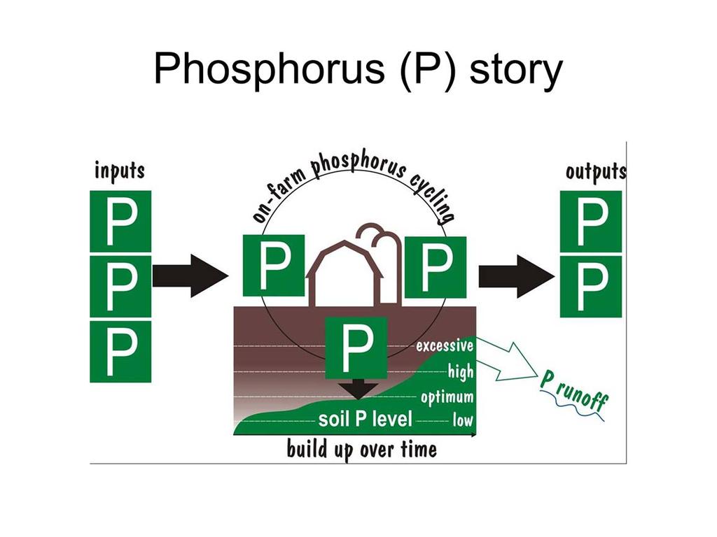 On-farm P cycling and P balancing are illustrated with this graphic. Phosphorus inputs to the farming system include: feed, fertilizers, mineral and protein supplements, etc.