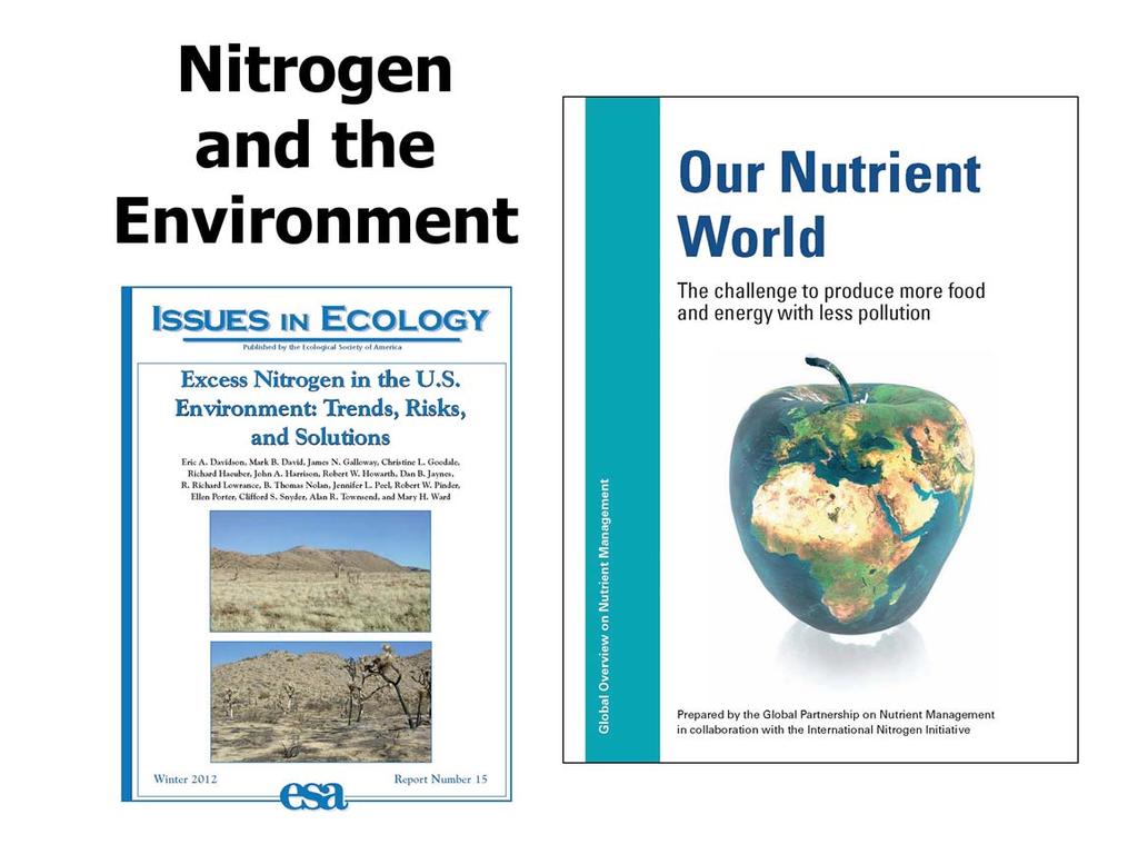 Two recent global and national reports highlight the environmental implications of too much agricultural nitrogen.