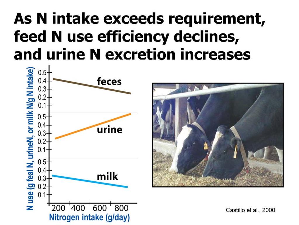 As nitrogen (protein) intake by dairy cows exceeds requirements, feed N use efficiency (relative amount of consumed N that is secreted as