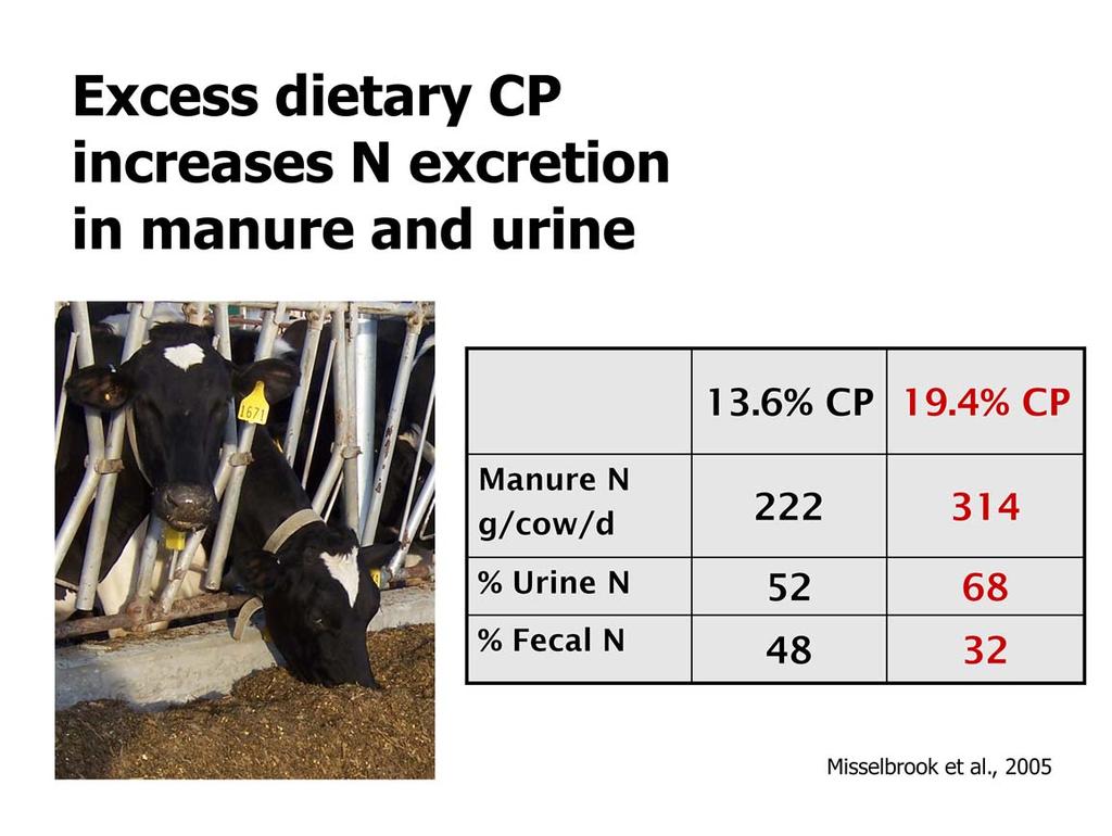 As nitrogen (protein) intake by dairy cows exceeds requirements, total N excretion in manure