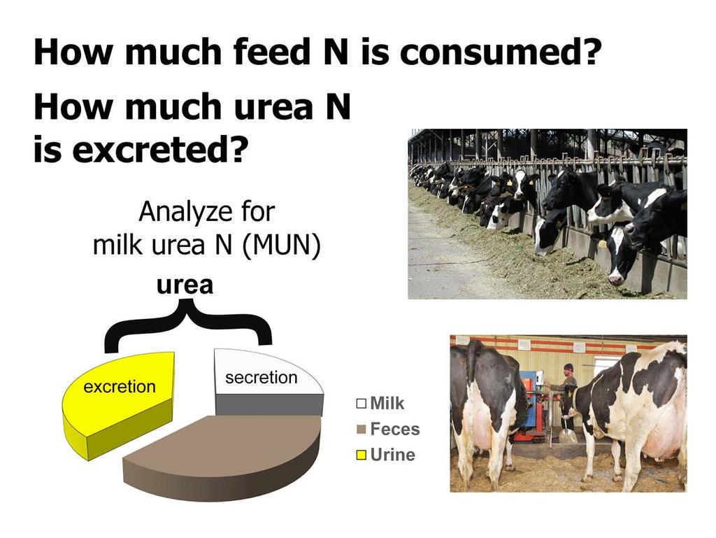 There is ample evidence that milk urea nitrogen (MUN) can be used to predict feed N intake