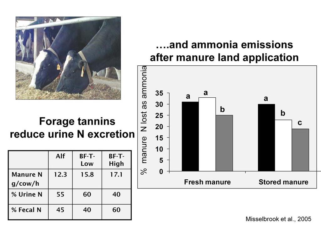 Compared to feeding alfalfa (Alf) to lactating dairy cows, birdsfoot trefoil having low (BF-T-Low) and high (BF-T-High) tannins increased manure N excretion, yet these forages shifted