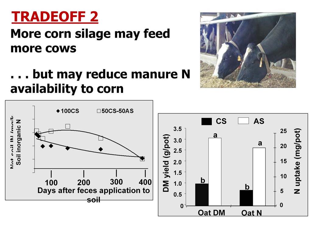 Many dairy farmers are growing and feeding more corn silage. This may have implications for various components of the nitrogen cycle on dairy farms.
