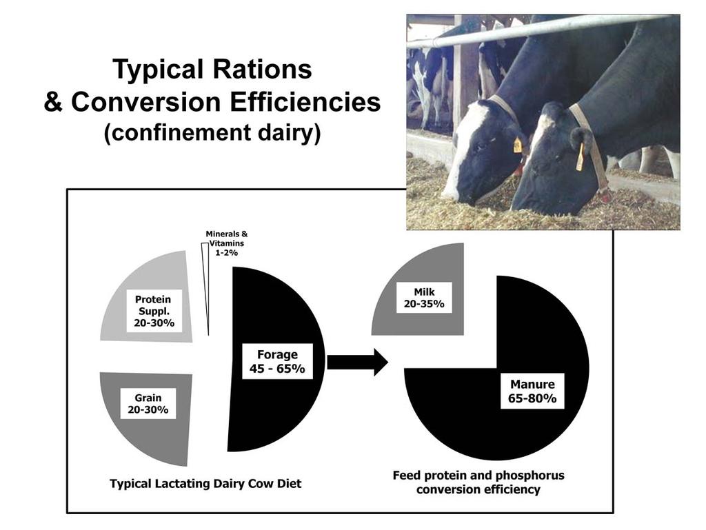 Most confinement dairy farms in the Midwest and Northeast regions of the U.S follow a fairly generalized formula of how to produce milk.