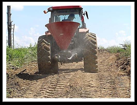 Stop #7 Road Stabilization - Seeding Minimizes Erosion Mix Can Include Summer and Winter Grasses Fertilizer May be Necessary Inexpensive to Apply Vegetation is great for stabilizing soil and