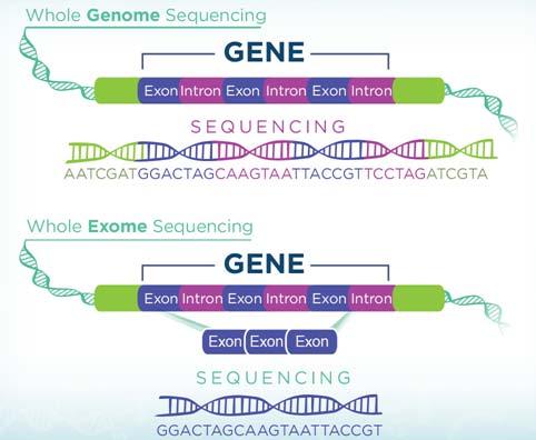 Whole Genome Sequencing vs.