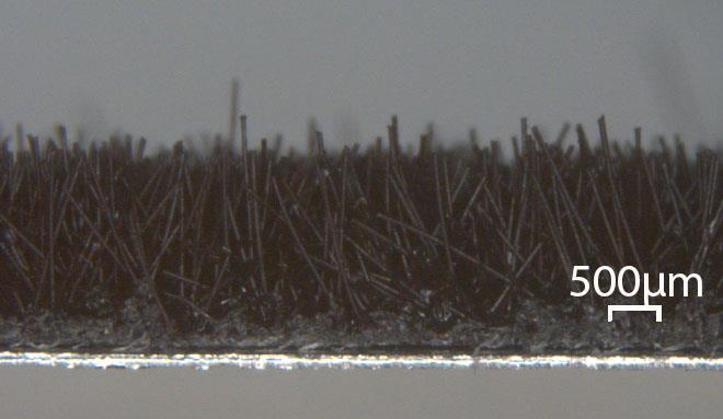 Figure 3: Cross section of the composite material showing the bottom steel plate and the attached fibers. The top steel plate is missing to facilitate Gold-sputtering. 2.