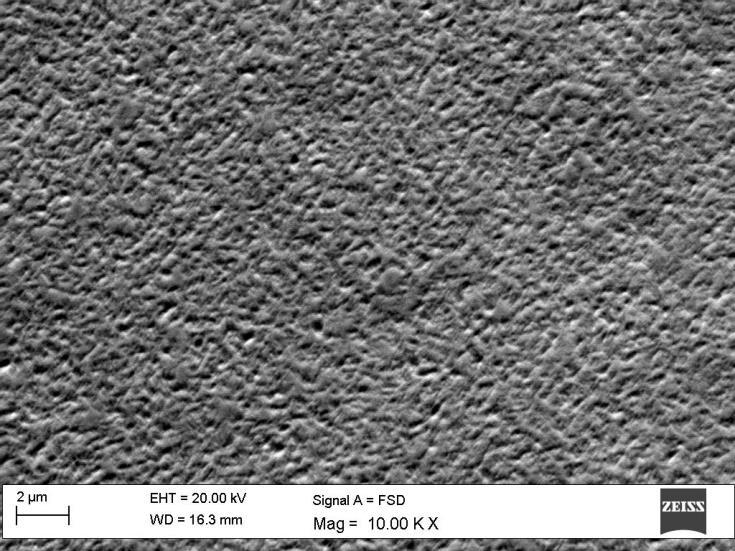 Figure 21: SEM image of sample  2 and