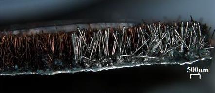 Image showing the electrodeposited Nickel coating on