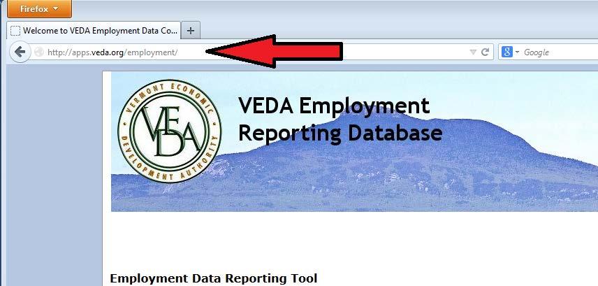 Introduction To collect this information VEDA is utilizing a web based portal that allows direct entry by borrowers into our reporting database.