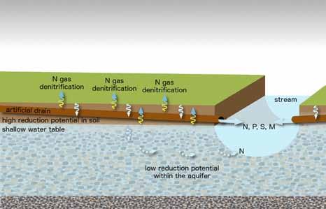 Contaminant pathway Deep drainage Artificial drainage Mitigation objectives Reduce the accumulation of surplus nitrogen in the soil, particularly over autumn and winter Protect soil structure,