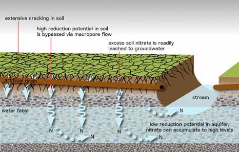 effluent through drains Capture contaminants at drainage outflows Figure 2: Wet soils When soils are wet, artificial drainage provides a pathway for episodic export of dissolved nitrogen (N),