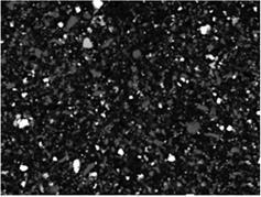 out on computing of image obtained using metallographic microscope (Fig. 1). Figure 1.