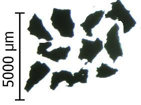 EPDM waste particles were subjected on the stereoscopic microscope. The average value of particle size was 1,092 ± 403 µm. Fig. 3 presents the distribution of particle sizes and their morphology.