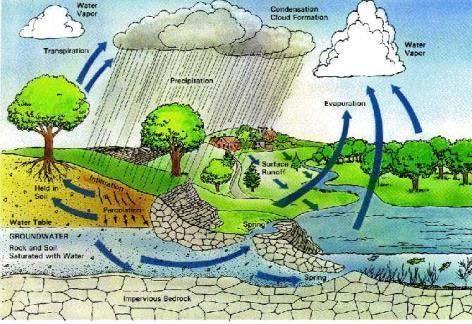 Drinking Water Rain/Storm Water