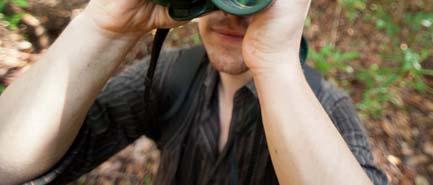gibbon population density surveys Camera trap project Invertebrate and vertebrate species surveys such as sun bears,