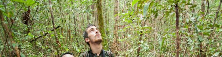 Sabangau tropical peatswamp forest: rough terrain, 35 degree heat, 100% humidity, knee-deep water.
