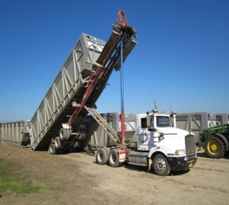 2 Photographs showing trans-loading operations: harvesting, cane transfer from haul-out to bin and bin pickup.