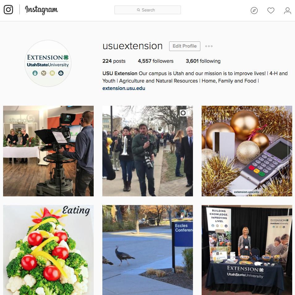 YEAR-END AUDIT - INSTAGRAM Instagram Instagram plays an important role in Extension s social media portfolio. With an audience of over 4,500 followers, it ranks as Extension s third-largest platform.