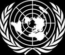 United Nations Corporate Guidance for International Public Sector