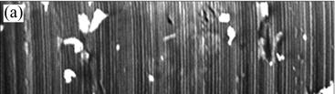 5 r/min, respectively. Fig.12 shows SEM images of materials with different surface roughness.