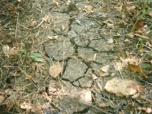 - Country Report - Bosnia and Herzegovina Drought conditions and management strategies in Bosnia and Herzegovina Sabina Hodzic,