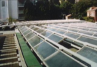 amount of yearly installed solar collector is similar