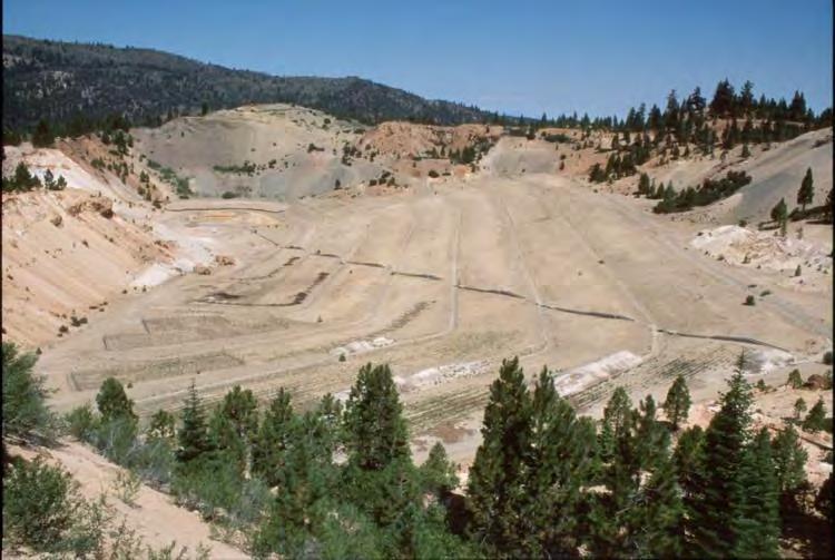 An previous revegetation treatment on acid mine waste from 1996 still shows plant growth patterns