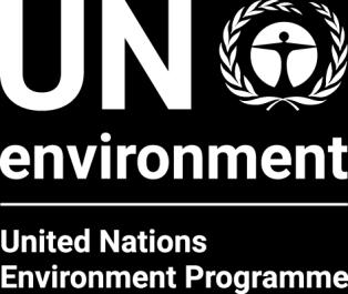 UNEP/APEnvForum (2)/2 Distr.