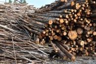 Improved fuel-flexibility of biomass Increased load flexibility at
