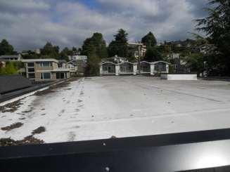 Membrane roofing Scuppers need to be clear of debris Gutters/ Downspouts