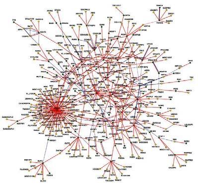 Interaction network of disease-associated associated CCSB-HI1 proteins The human interactome will further the understanding of human health and disease Illustrated by The network of diseaseassociated