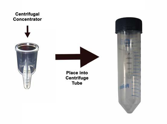 6. Float the dialysis device vertically in a container with a stir bar. Dialyze against 4 L of Dialysis Buffer (see Preparation of Reagents) for 4-6 hours at 4ºC, with gentle stirring.