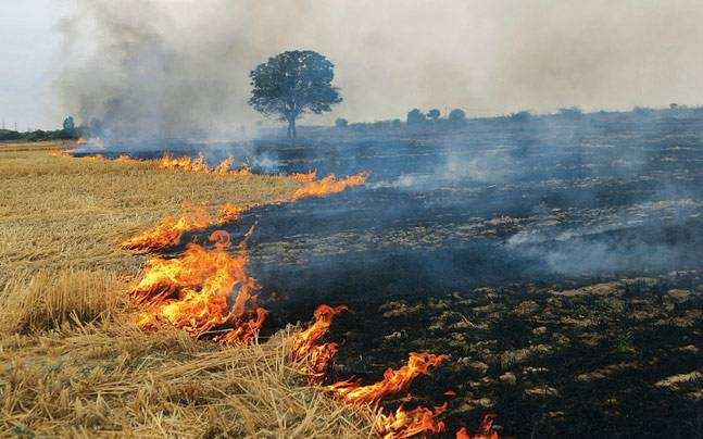Possible fates of crop residues 4: wasting Burning implies loss of nearly all nitrogen and at least 75% of sulfur and also of some of the phosphorus and potash