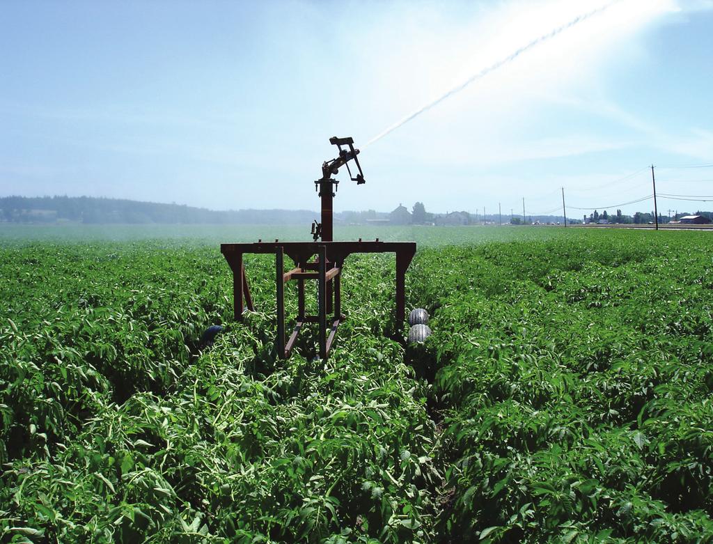 Although there have been years in the past when farmers did not use their irrigation equipment (e.g., the 996 growing season), this is becoming less frequent.