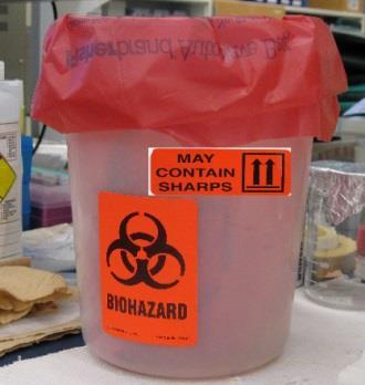 This should be a container specifically designed and approved for sharps. Filled containers are disposed of as a sealed unit.