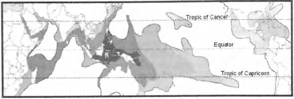 after Veron 2000. Tropical mangrove and scagras.,, meadows have a similar overall distribution pattern but much lower species diversity (mangroves --40 species, seagrasses --60 species.) B.