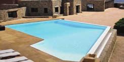 Recommended to uses a protective varnish after the epoxy systems Neopox or as a UV protective layer in pools.