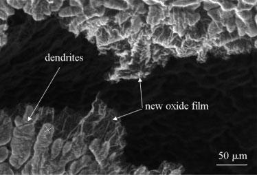 filling showing fracture of transparent wrinkled oxide film Recent investigations have demonstrated that the thickness and morphology of oxide films are affected by chemical composition 11,12 and by