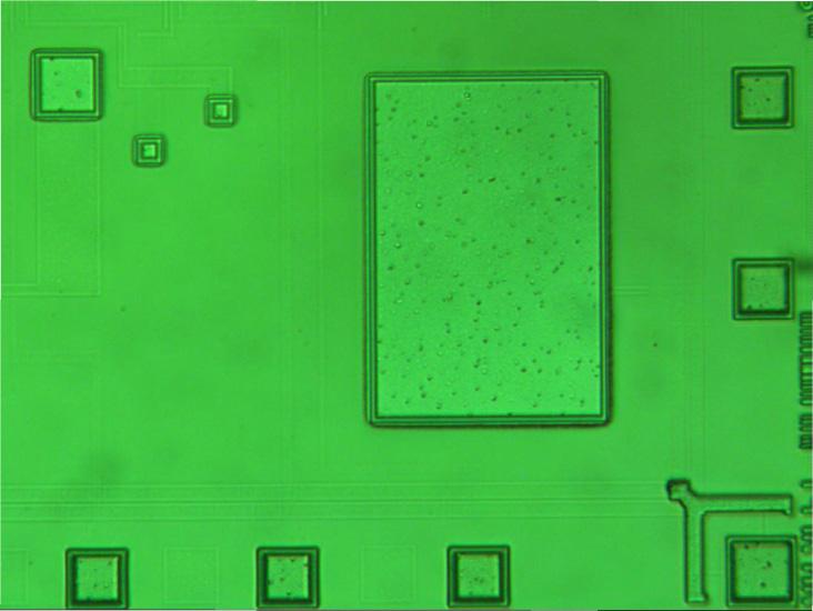 Figure 4. The chip after it is masked with photoresist to permit selective deposition of PEDOT:PSS onto the recording and reference electrodes.